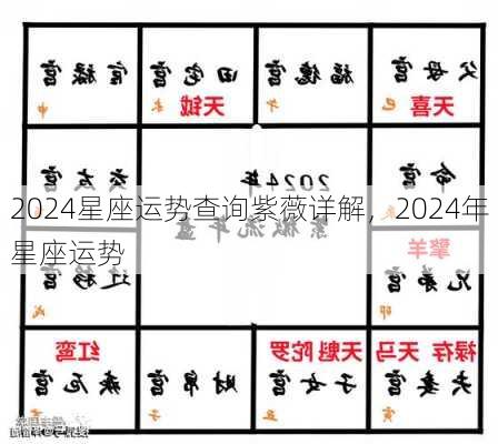 2024星座运势查询紫薇详解，2024年星座运势