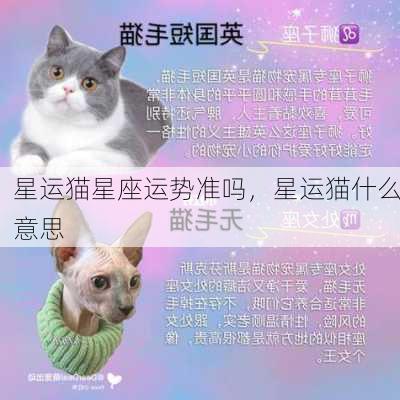 星运猫星座运势准吗，星运猫什么意思