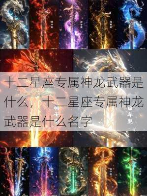 十二星座专属神龙武器是什么，十二星座专属神龙武器是什么名字