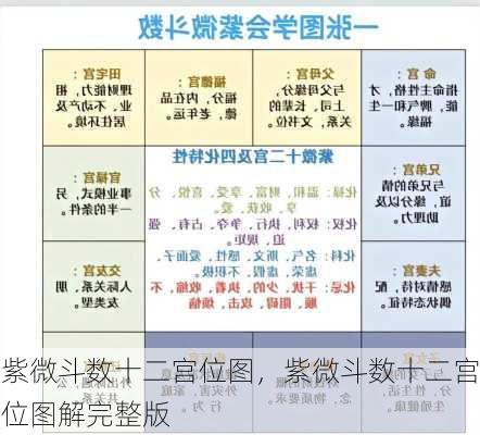 紫微斗数十二宫位图，紫微斗数十二宫位图解完整版