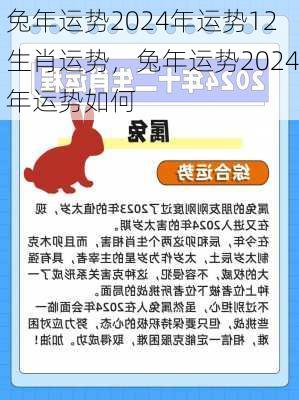 兔年运势2024年运势12生肖运势，兔年运势2024年运势如何