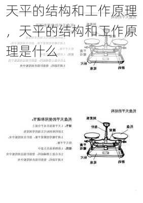 天平的结构和工作原理，天平的结构和工作原理是什么