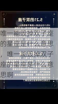 唯一能毁掉双子座的星座是什么意思，唯一能毁掉双子座的星座是什么意思啊