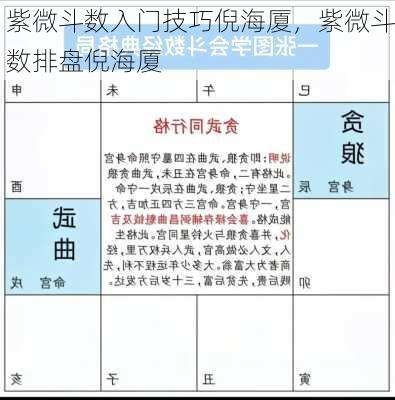 紫微斗数入门技巧倪海厦，紫微斗数排盘倪海厦