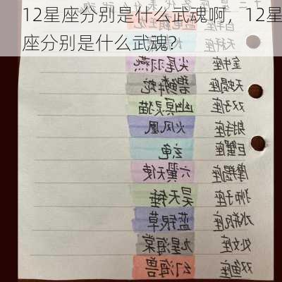 12星座分别是什么武魂啊，12星座分别是什么武魂?