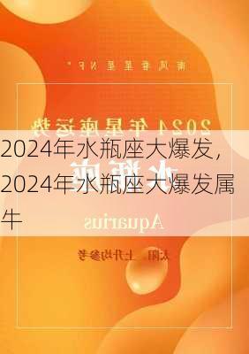 2024年水瓶座大爆发，2024年水瓶座大爆发属牛