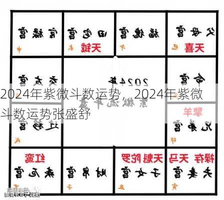 2024年紫微斗数运势，2024年紫微斗数运势张盛舒