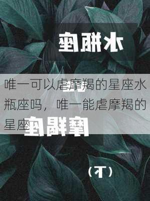 唯一可以虐摩羯的星座水瓶座吗，唯一能虐摩羯的星座