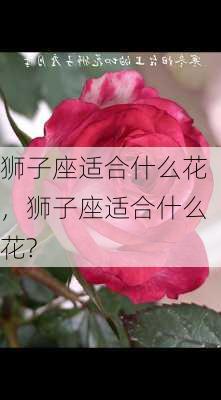 狮子座适合什么花，狮子座适合什么花?