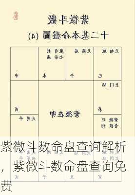 紫微斗数命盘查询解析，紫微斗数命盘查询免费