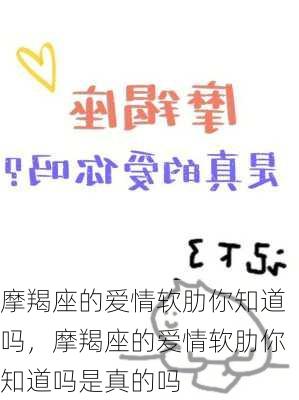 摩羯座的爱情软肋你知道吗，摩羯座的爱情软肋你知道吗是真的吗