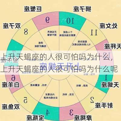 上升天蝎座的人很可怕吗为什么，上升天蝎座的人很可怕吗为什么呢