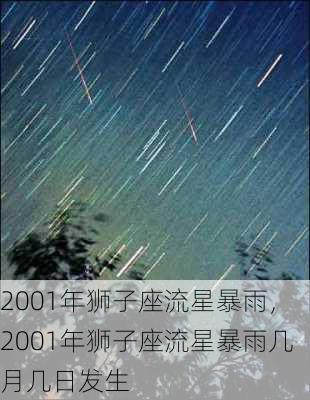 2002年流星雨大爆发图片